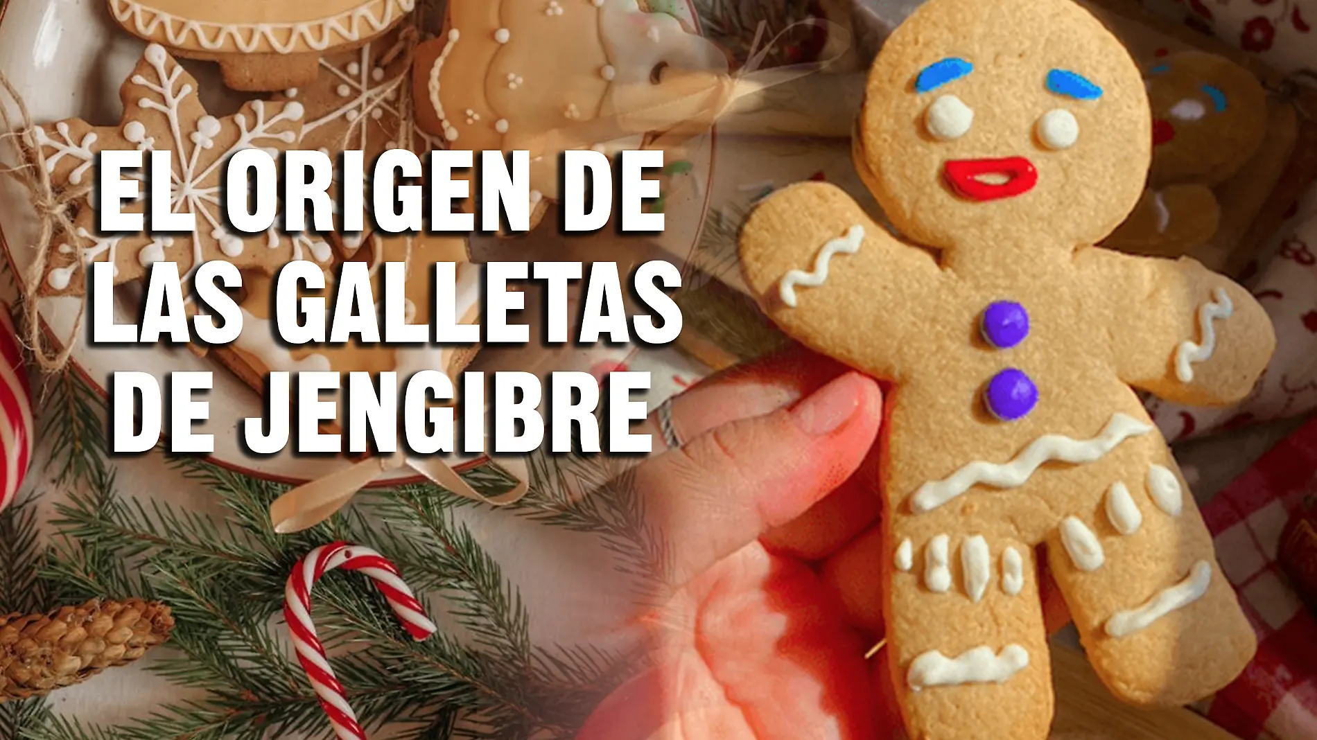 GALLETA JENGIBRE